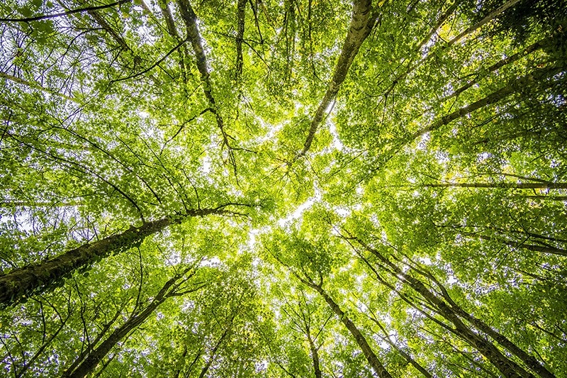 45ème journée mondiale de l’environnement